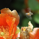 Illustration for article titled Weekly Photo Mission: Bokeh